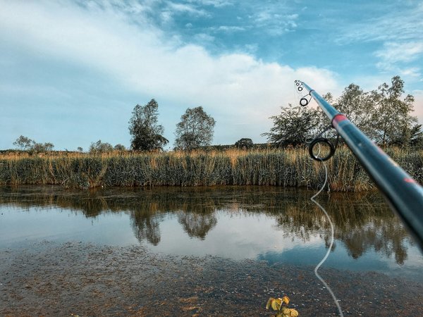 Les Meilleurs Spots de Chasse et de Pêche dans les Alpes Françaises