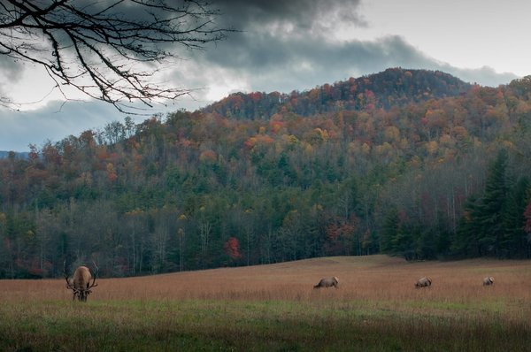 Tout ce que vous devez savoir sur les règles de la chasse et de la pêche dans les Alpes